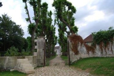 Allée des Tilleuls Allée des Tilleuls