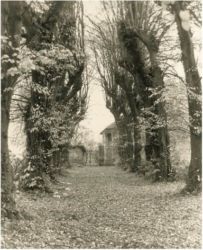 Allée du Château Allée du Château